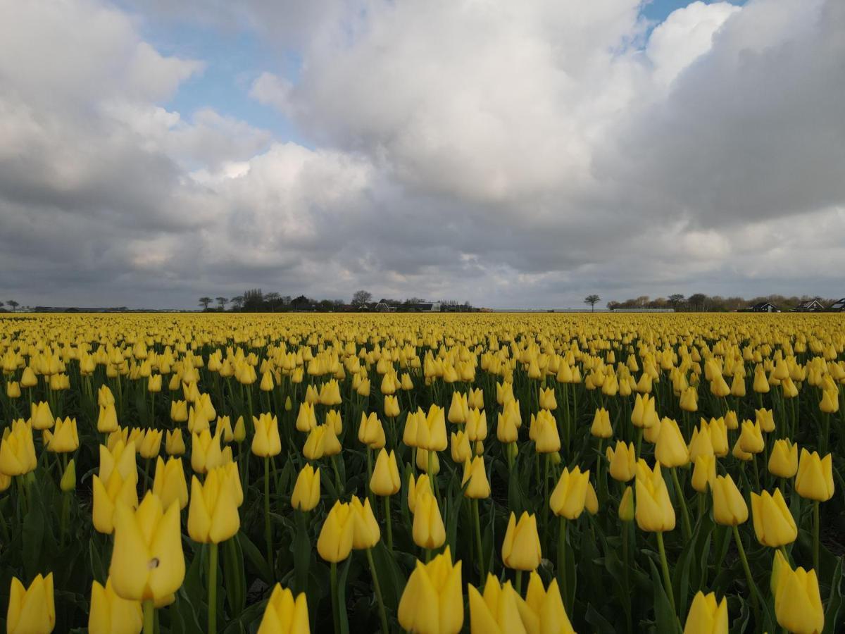 Camping De Tulpenweide Lege Kampeerplaats, Lege Plaats Op Het Gras Zonder Bed Breezand Экстерьер фото