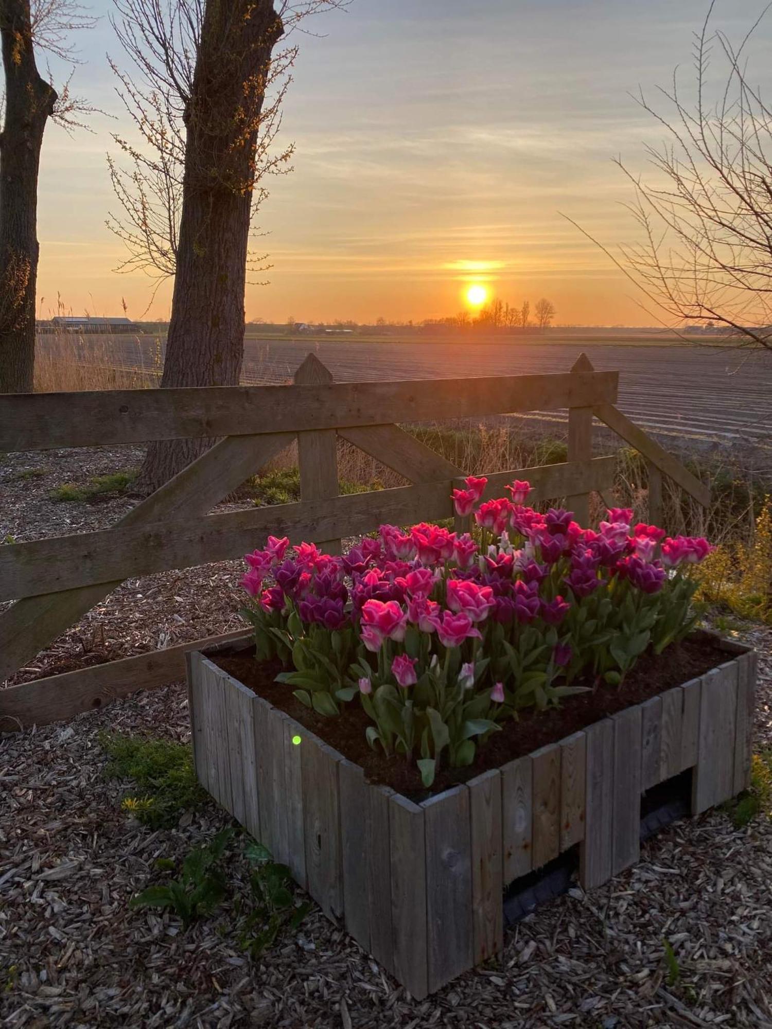 Camping De Tulpenweide Lege Kampeerplaats, Lege Plaats Op Het Gras Zonder Bed Breezand Экстерьер фото