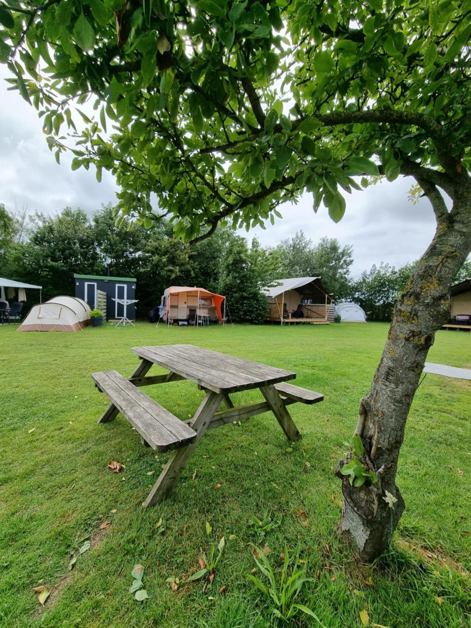 Camping De Tulpenweide Lege Kampeerplaats, Lege Plaats Op Het Gras Zonder Bed Breezand Экстерьер фото