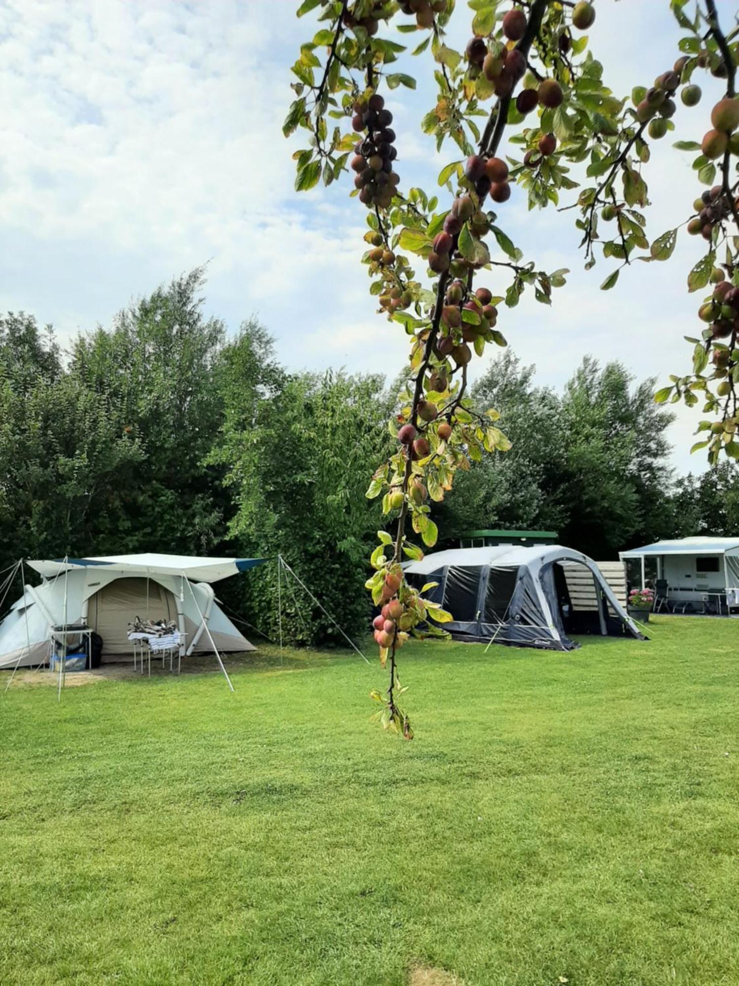Отель Camping De Tulpenweide Lege Kampeerplaats, Lege Plaats Op Het Gras Zonder Bed Breezand Экстерьер фото