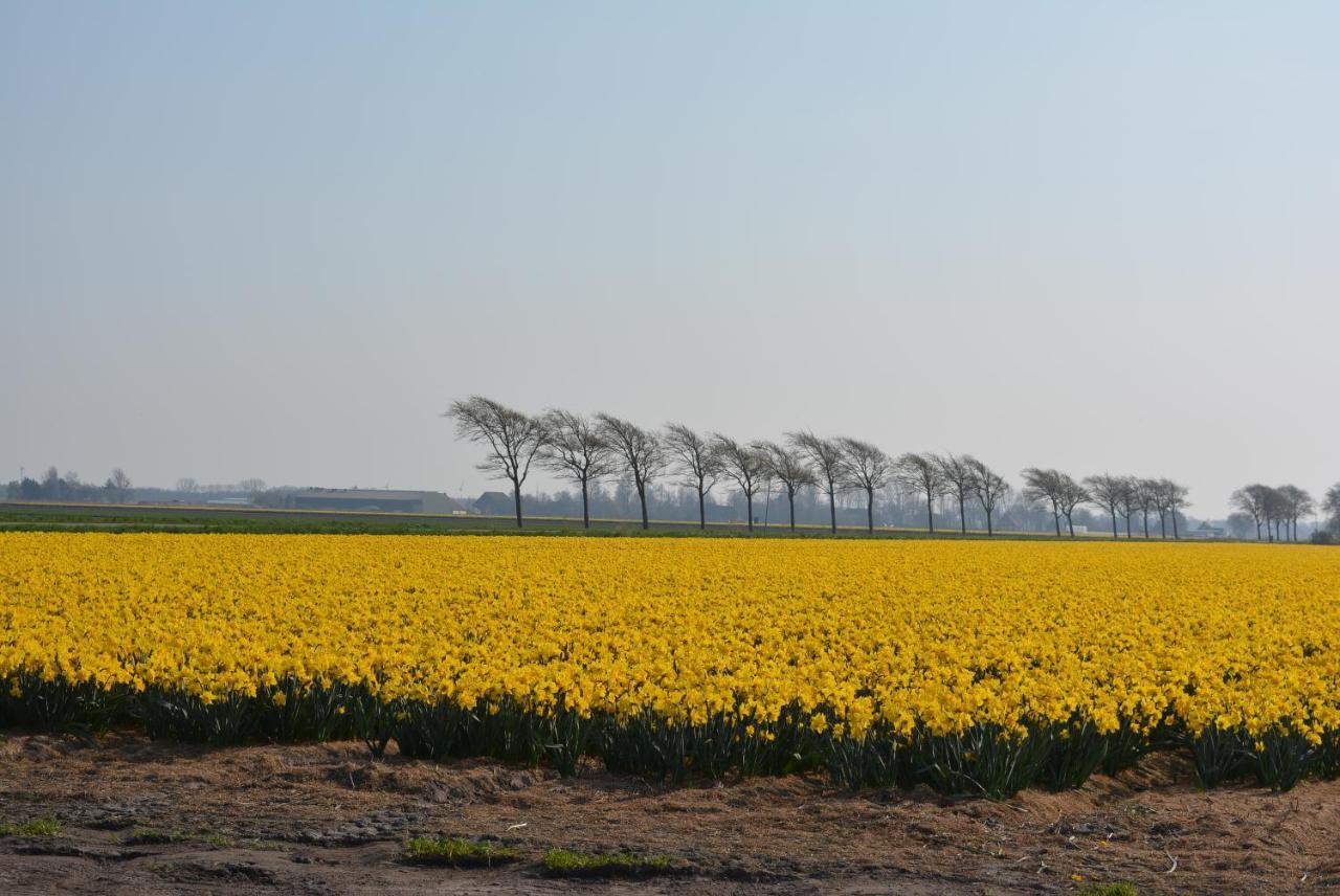 Camping De Tulpenweide Lege Kampeerplaats, Lege Plaats Op Het Gras Zonder Bed Breezand Экстерьер фото