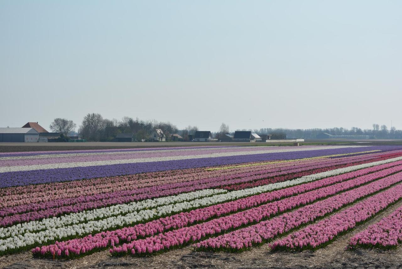Camping De Tulpenweide Lege Kampeerplaats, Lege Plaats Op Het Gras Zonder Bed Breezand Экстерьер фото