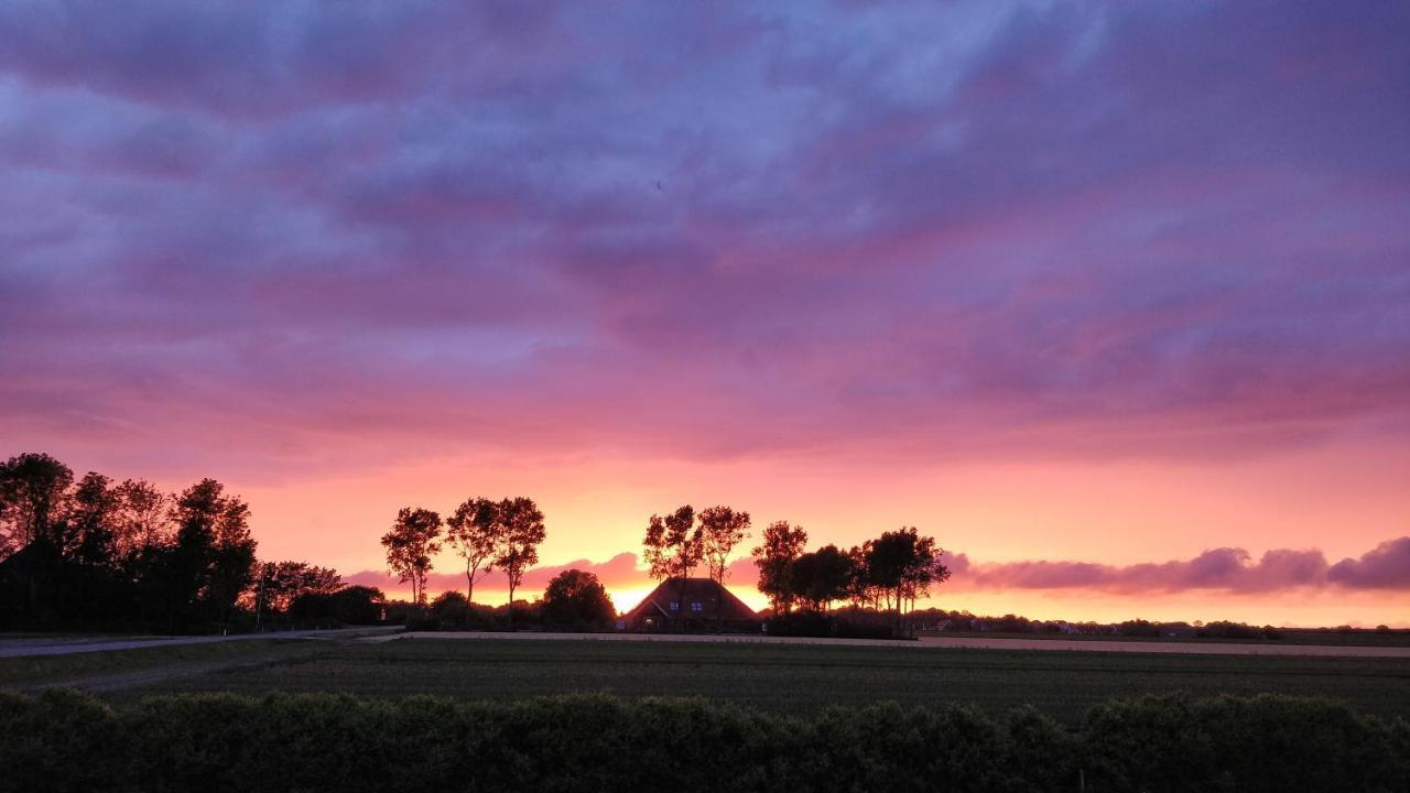 Camping De Tulpenweide Lege Kampeerplaats, Lege Plaats Op Het Gras Zonder Bed Breezand Экстерьер фото